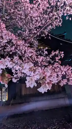 知恩院(京都府)