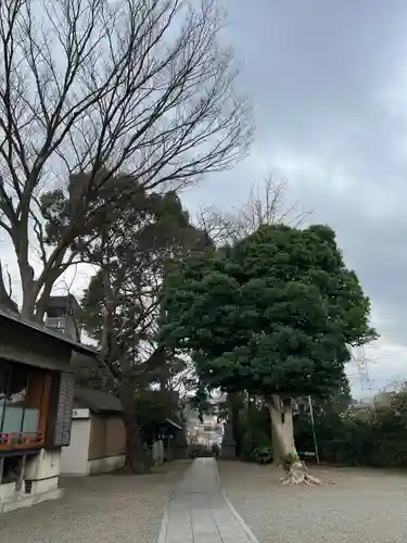 日吉神社(神奈川県)