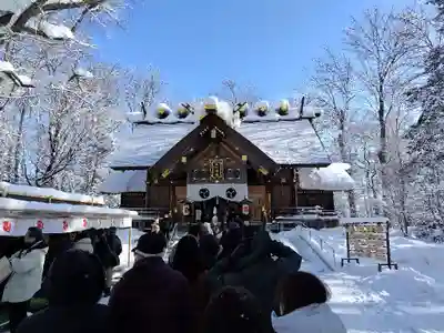 旭川神社の初詣