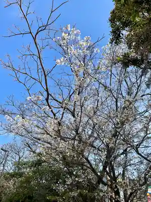 御島神社(福岡県)
