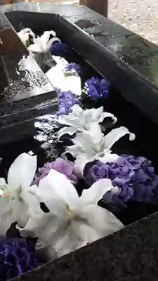 新琴似神社の手水舎