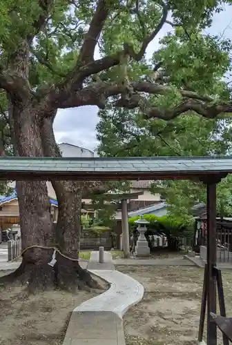 大神社のその他建物