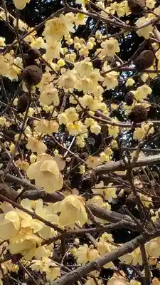 半木神社（賀茂別雷神社境外末社）(京都府)
