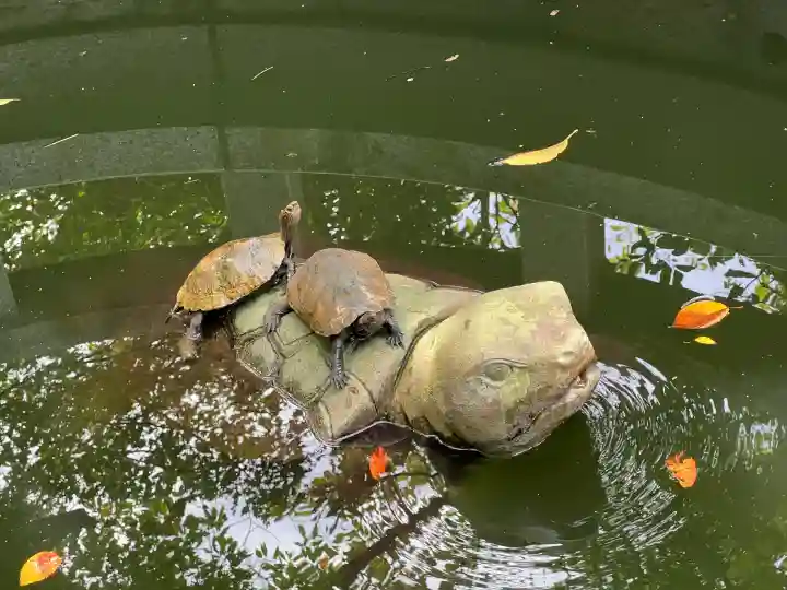 丹後一ノ宮 元伊勢 籠神社の{uncategorized: "未分類", other: "その他", undefined: "問題あり", building: "その他建物", grave: "お墓", sacred_gate: "鳥居", guardian: "狛犬", statue: "像", buddha: "仏像", history: "歴史", nature: "自然", garden: "庭園", animal: "動物", pagoda: "塔", temizu: "手水舎", mountain_gate: "山門・神門", sanctuary: "本殿・本堂", subordinate: "末社・摂社", art: "芸術", scenery: "景色", jizo: "地蔵", ema: "絵馬", goshuin: "御朱印", omikuji: "おみくじ", items: "授与品その他", amulet: "お守り", goshuincho: "御朱印帳", eats: "食事", festival: "お祭り", votive_dance: "神楽", shichigosan: "七五三参", wedding: "結婚式", experience: "体験その他", initially: "初詣", around: "周辺", anti_infection: "感染症対策"}