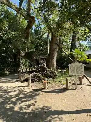 大山祇神社(愛媛県)