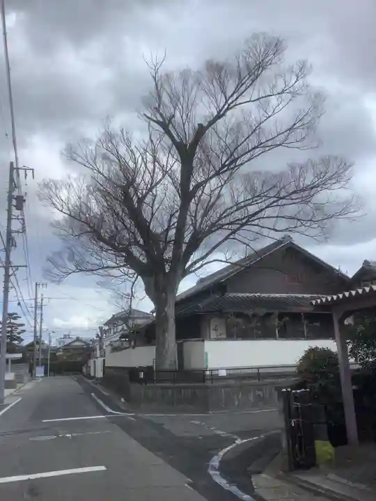 神明社・土之宮合殿の自然