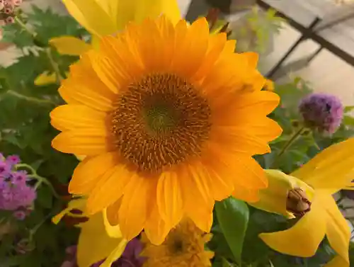 滑川神社 - 仕事と子どもの守り神の手水舎