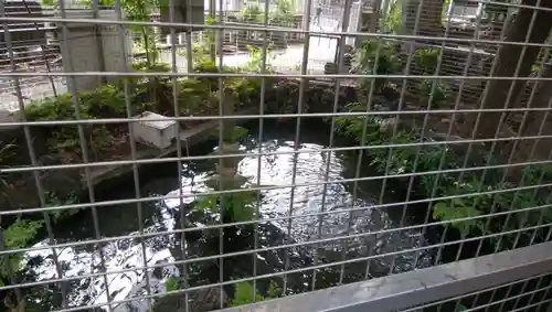 九頭龍権現水神社(東京都)