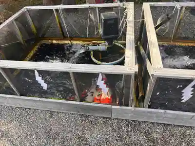 神館飯野高市本多神社(三重県)