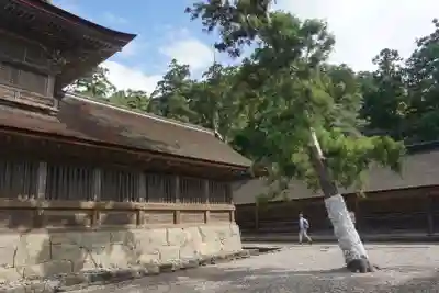 出雲大社のその他建物