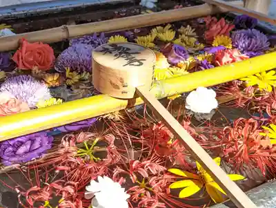 柳谷観音　楊谷寺(京都府)
