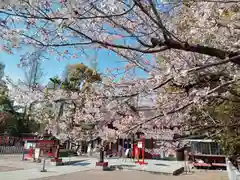 阿部野神社の自然