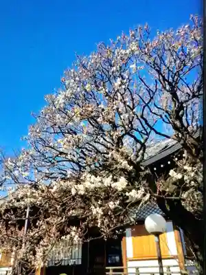 福蔵院(東京都)