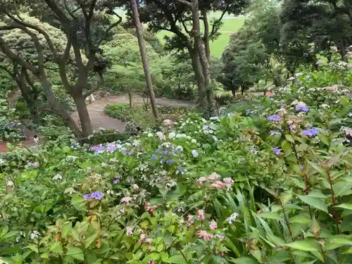 二本松寺の自然