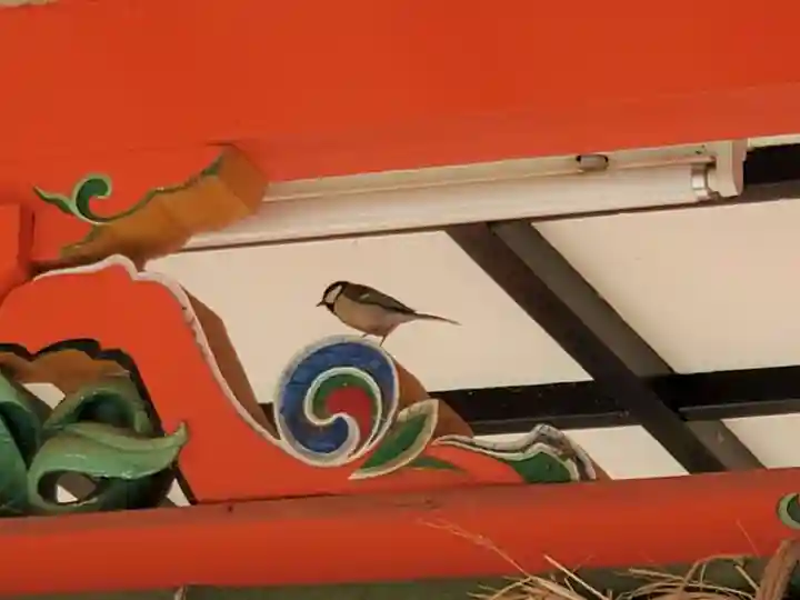 生田神社の動物