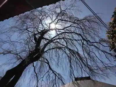 相頓寺(埼玉県)