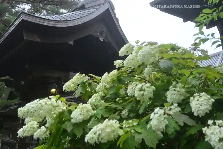 高幡不動尊 金剛寺(東京都)