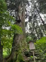 花園神社(茨城県)