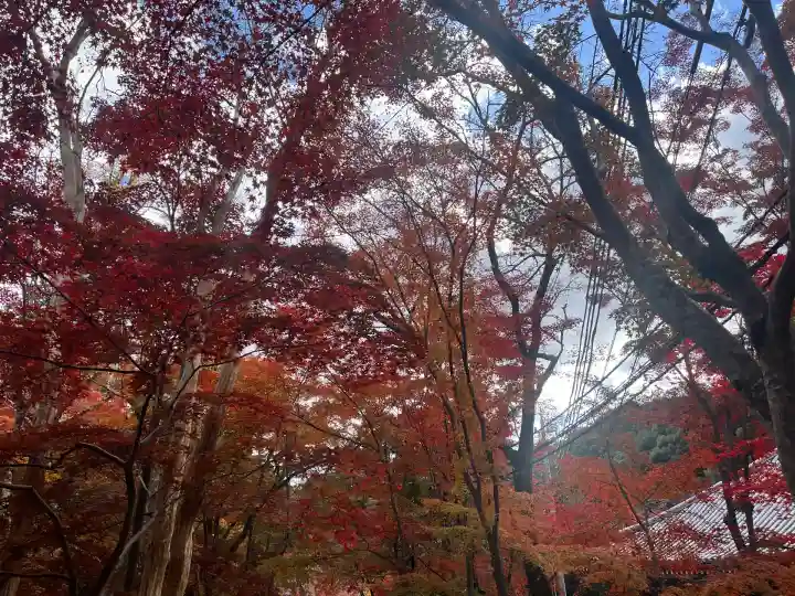 神峯山寺(大阪府)