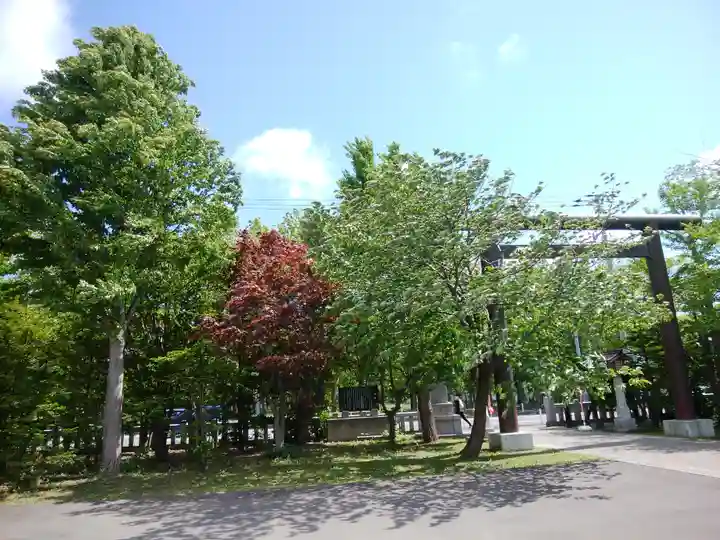 烈々布神社の自然