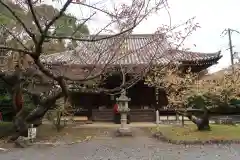 真正極楽寺（真如堂）(京都府)