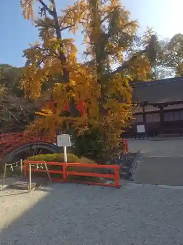 賀茂御祖神社（下鴨神社）(京都府)