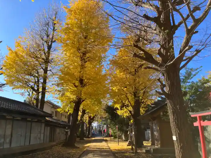 駒込天祖神社(東京都)