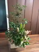 安用寺(愛知県)