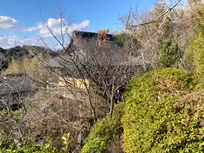 大船観音寺(神奈川県)