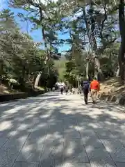 出雲大社(島根県)