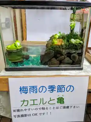 彌彦神社　(伊夜日子神社)の芸術