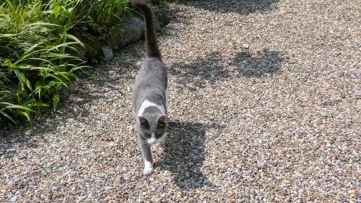 常谷寺(奈良県)