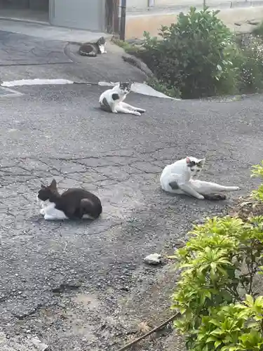 浄瑠璃寺の動物