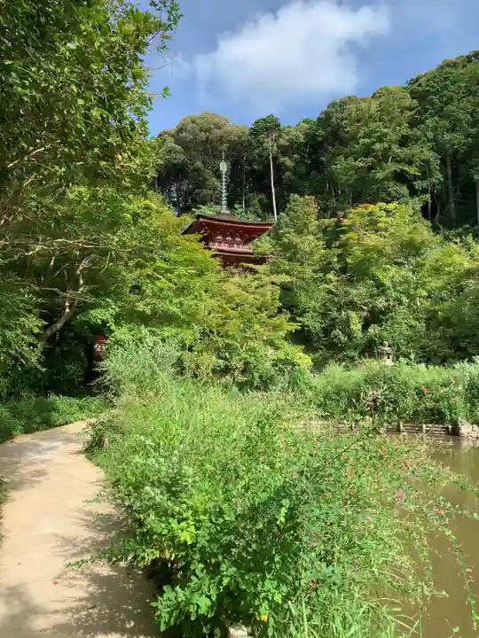 浄瑠璃寺の庭園