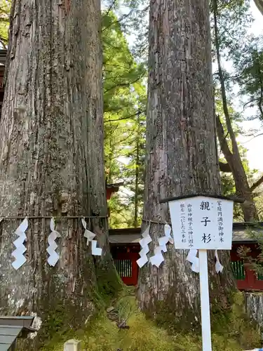 日光二荒山神社の自然