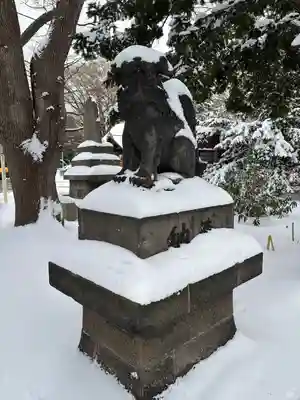 新琴似神社の狛犬