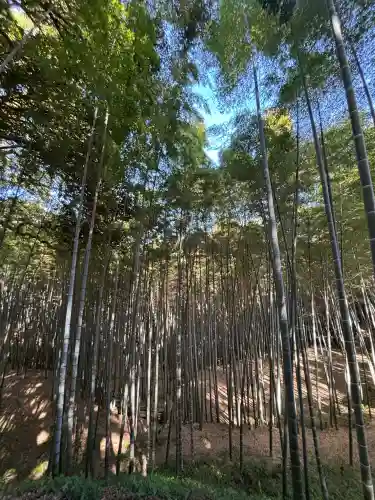 石清水八幡宮の{uncategorized: "未分類", other: "その他", undefined: "問題あり", building: "その他建物", grave: "お墓", sacred_gate: "鳥居", guardian: "狛犬", statue: "像", buddha: "仏像", history: "歴史", nature: "自然", garden: "庭園", animal: "動物", pagoda: "塔", temizu: "手水舎", mountain_gate: "山門・神門", sanctuary: "本殿・本堂", subordinate: "末社・摂社", art: "芸術", scenery: "景色", jizo: "地蔵", ema: "絵馬", goshuin: "御朱印", omikuji: "おみくじ", items: "授与品その他", amulet: "お守り", goshuincho: "御朱印帳", eats: "食事", festival: "お祭り", votive_dance: "神楽", shichigosan: "七五三参", wedding: "結婚式", experience: "体験その他", initially: "初詣", around: "周辺", anti_infection: "感染症対策"}