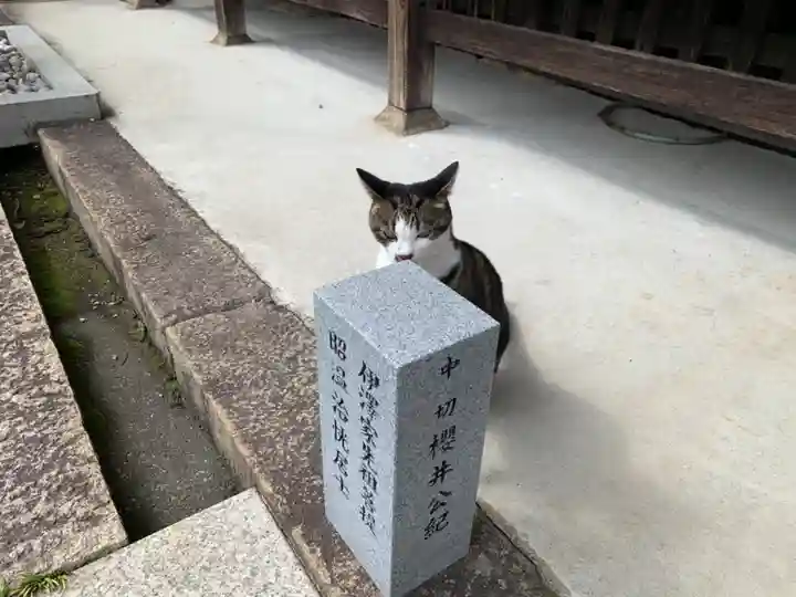天猷寺の動物