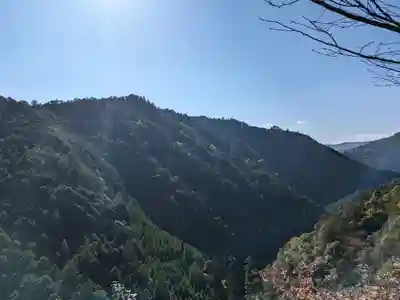 地藏院(京都府)