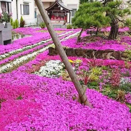 寿量山　速成寺の庭園