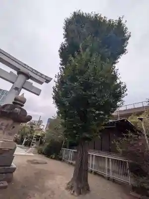 住吉神社(東京都)