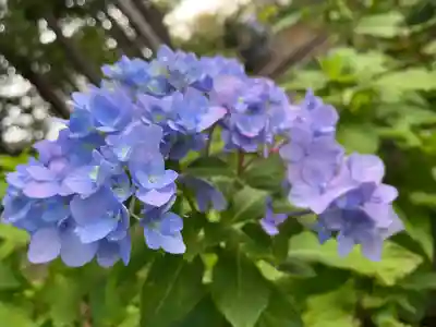 赤城神社(群馬県)