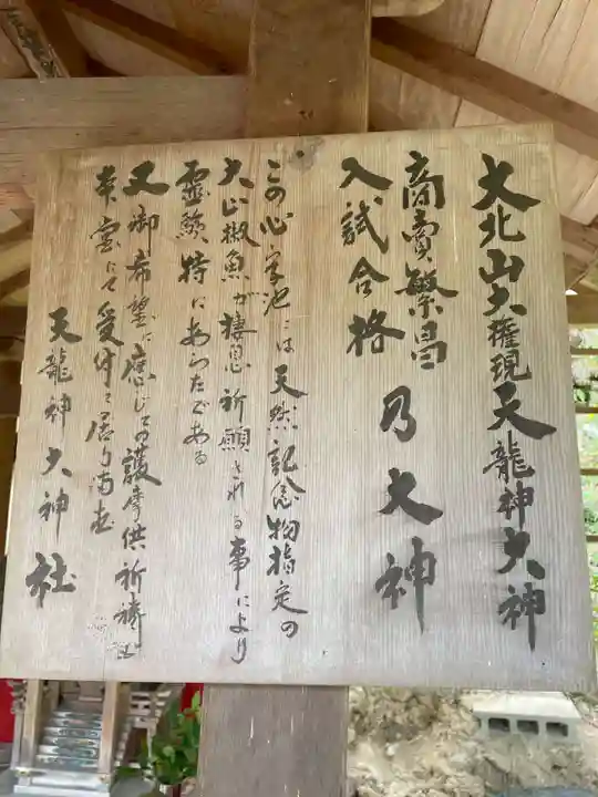 天龍神大神社(京都府)