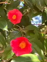 大宮大神(茨城県)