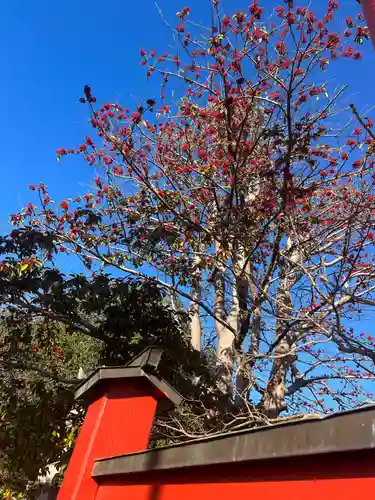 手力雄神社(岐阜県)