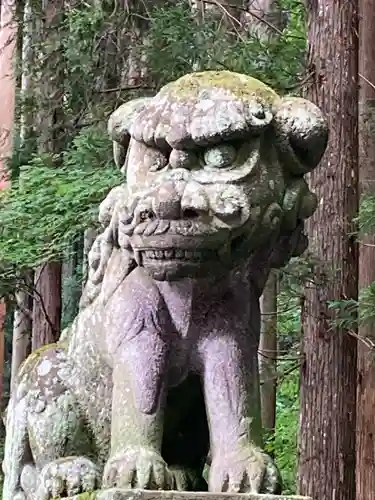 戸隠神社宝光社の狛犬