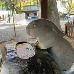 調神社の手水