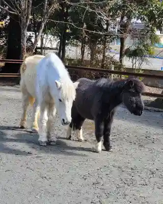 丹生川上神社（下社）(奈良県)
