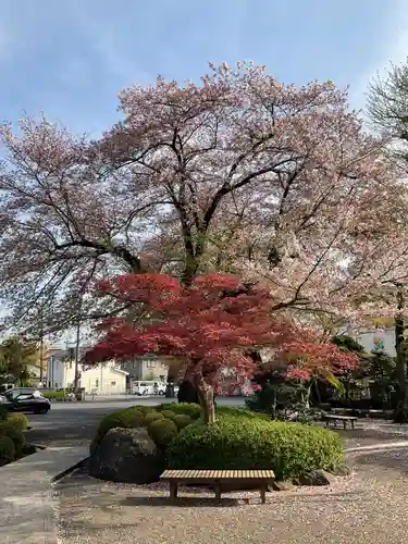 宝光寺(神奈川県)
