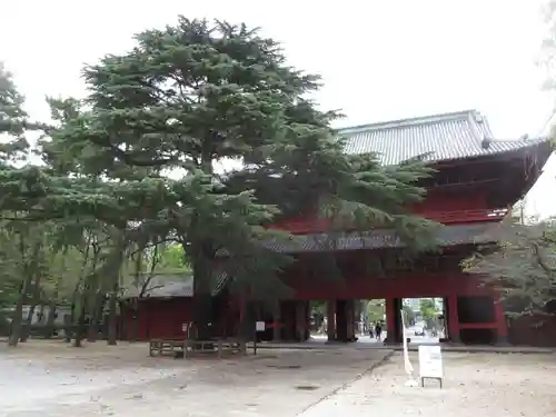 増上寺の山門・神門